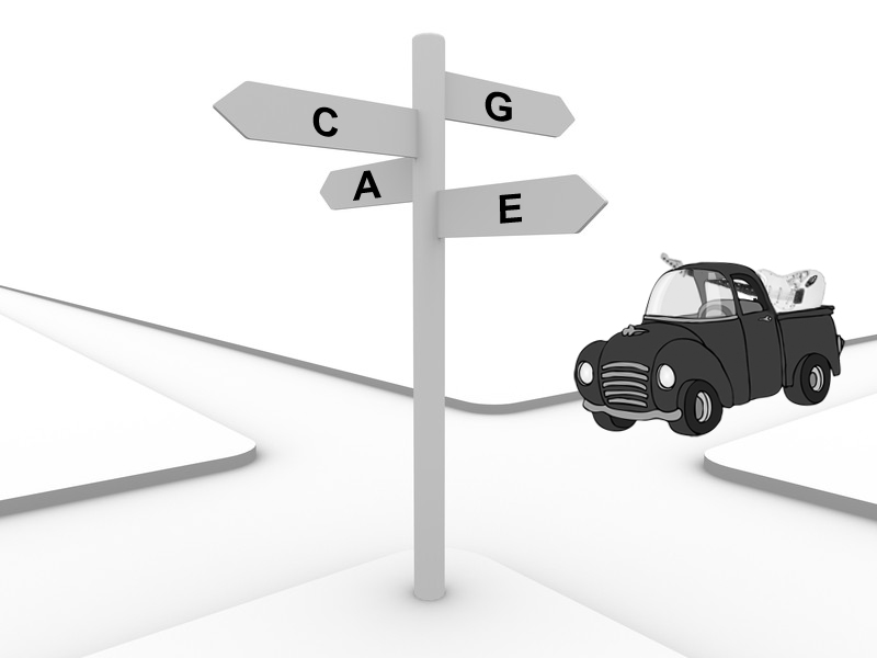 Street Signs of Guitar Chords with Pickup Truck and Guitar