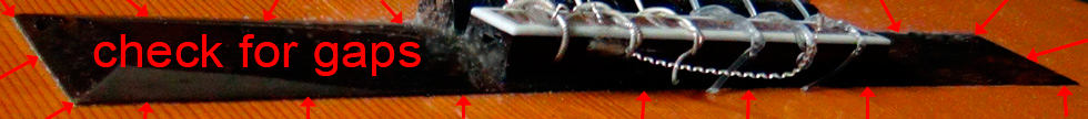 guitar bridge inspection