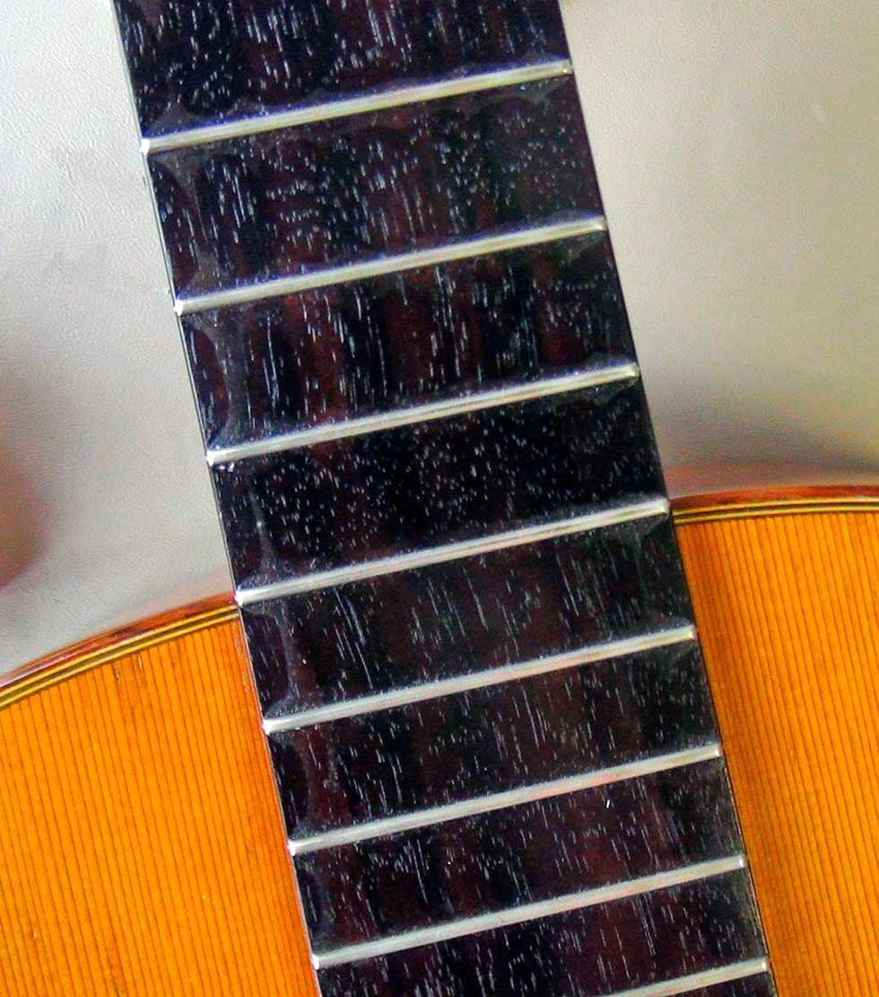 Shiny Guitar Fingerboard