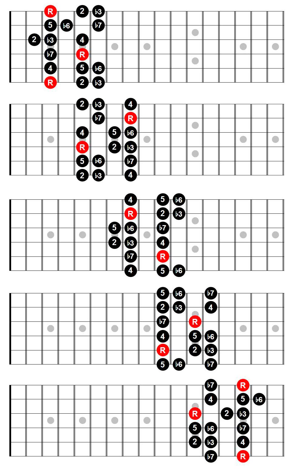 5 caged shapes full fingerboard